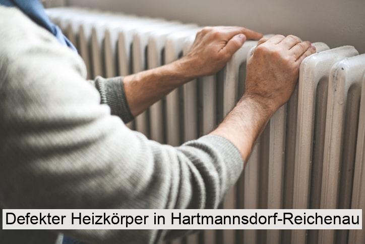 Defekter Heizkörper in Hartmannsdorf-Reichenau